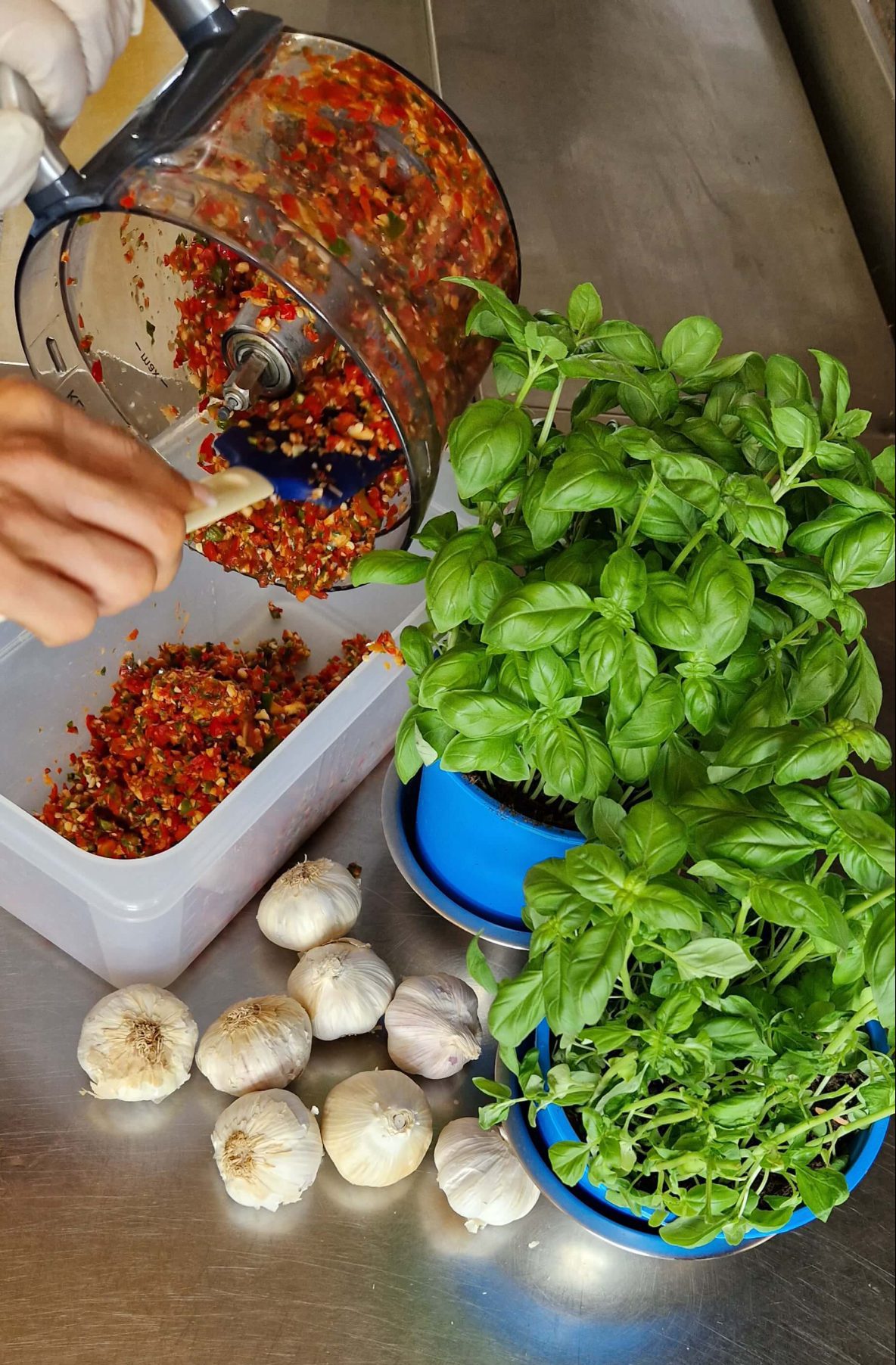 Frisches Basilikum, Knoblauch und gehackte Peperoni